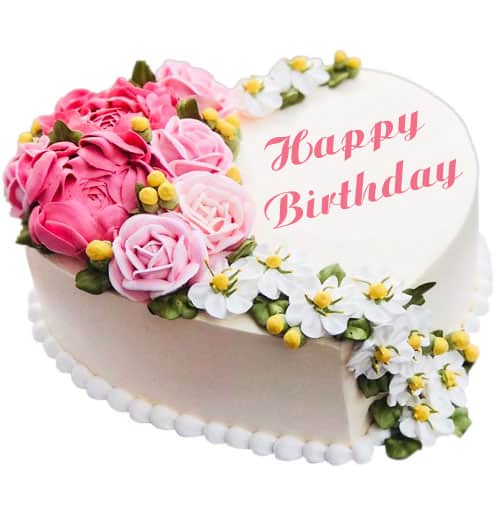 birthday cake 14