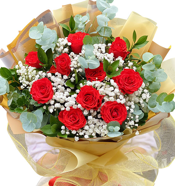 birthday surprise n01