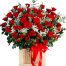 christmas roses vietnam 07