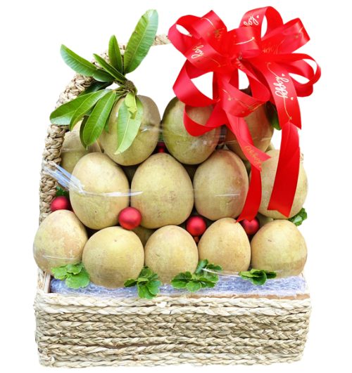 fresh sapodilla basket