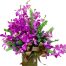 romance flower