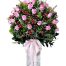 36 pink roses in vase