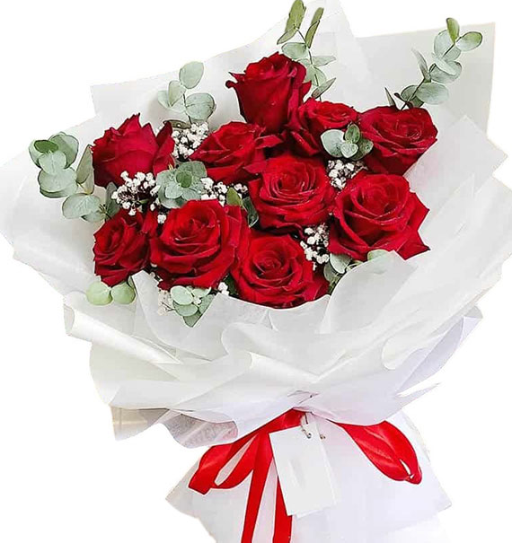 ecuadorian roses 10a