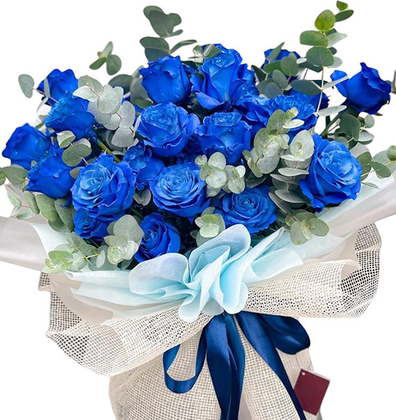 ecuadorian roses 28a