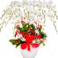 potted white orchid 10 branches