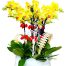potted yellow orchid 06 branches 500x531