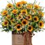 special flowers for valentine 10A