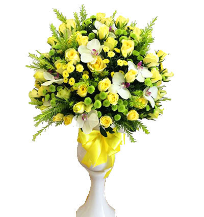 sunshine of my life saigonflowers