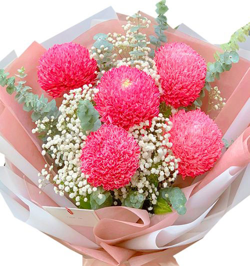 peony flowers valentine vietnam 02