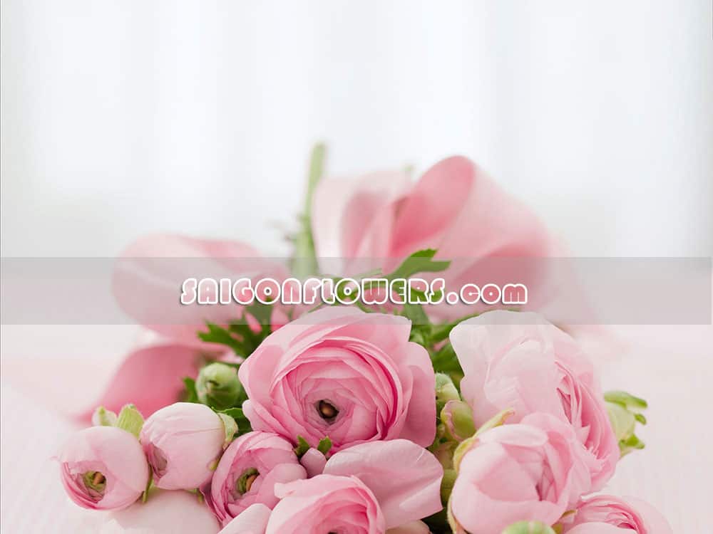send flowers to tuyen quang