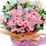 48 peach roses mothers day vietnam