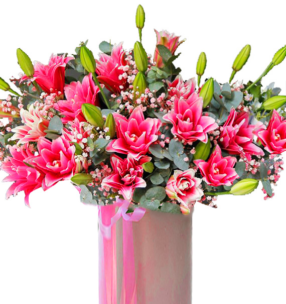 Romance Flowers