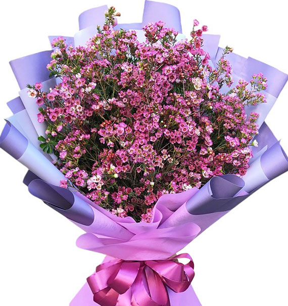 happy mothers day vietnam 10