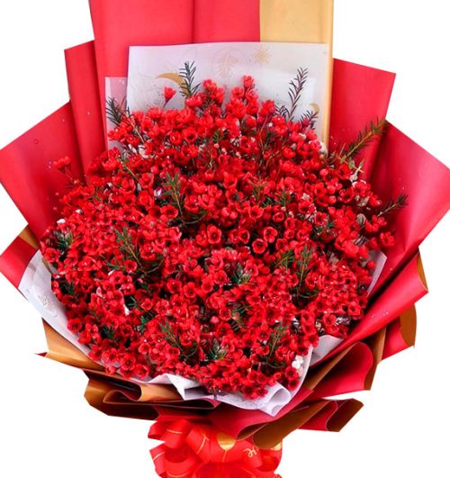 happy mothers day vietnam 12