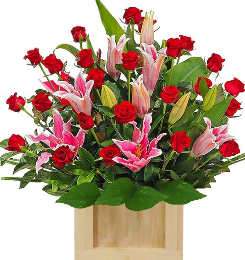 i love mom