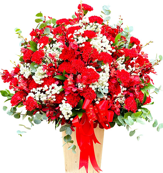 special mothers day orchids 04