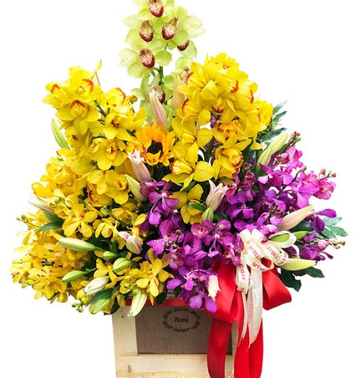 special mothers day orchids 05