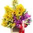 special mothers day orchids 05