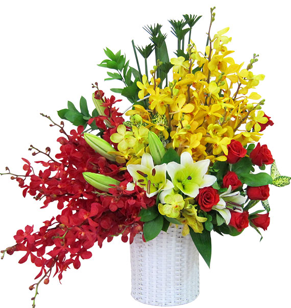 special mothers day orchids 11