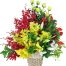 special mothers day orchids 12