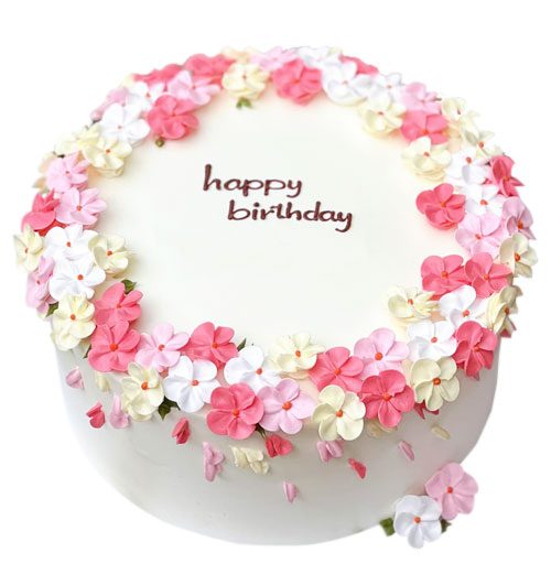 birthday cake 24