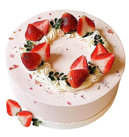 fruit cake 17
