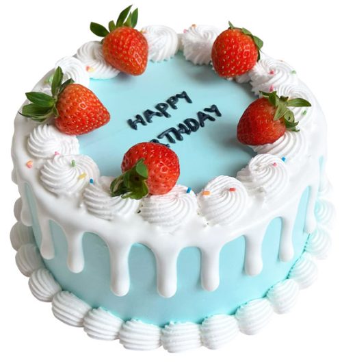 fruit cake 25