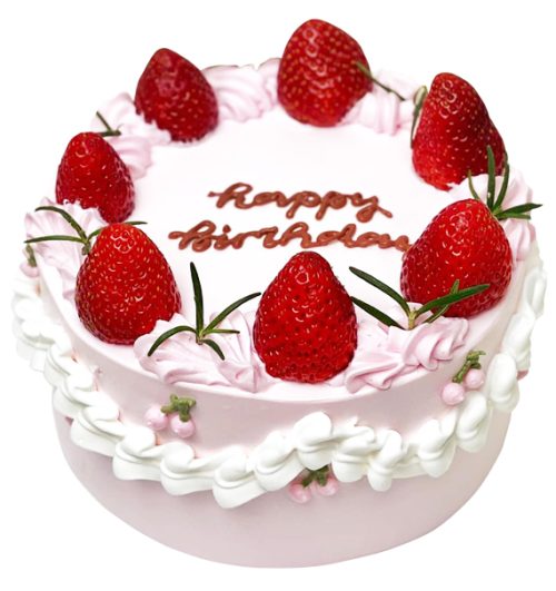 fruit cake 30
