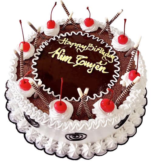 special-cake-04
