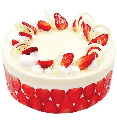 special cake 05 500x531