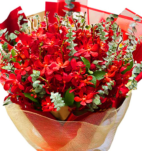 Red Orchids 03