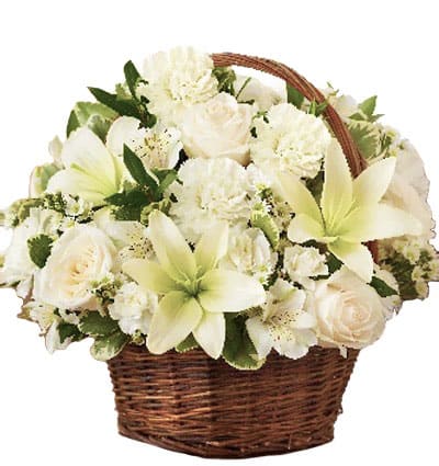 Sympathy-Basket-04
