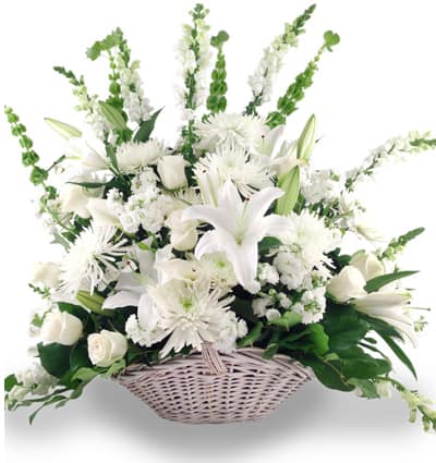 Sympathy Basket Vietnam 06