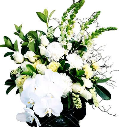 Sympathy-Vase-02