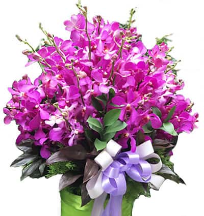 Sympathy-Vase-15
