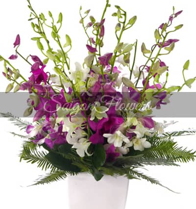 Sympathy Vase vietnam 17