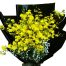 Yellow Orchids 02 500x531