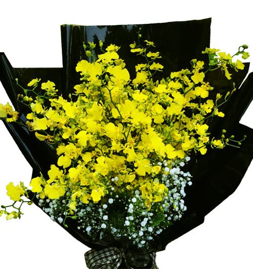 Yellow Orchids 02 500x531