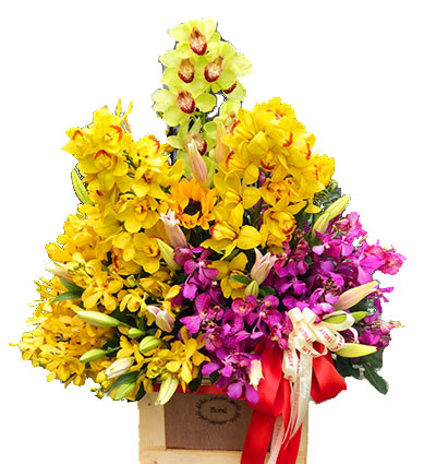 elegant-orchid-03
