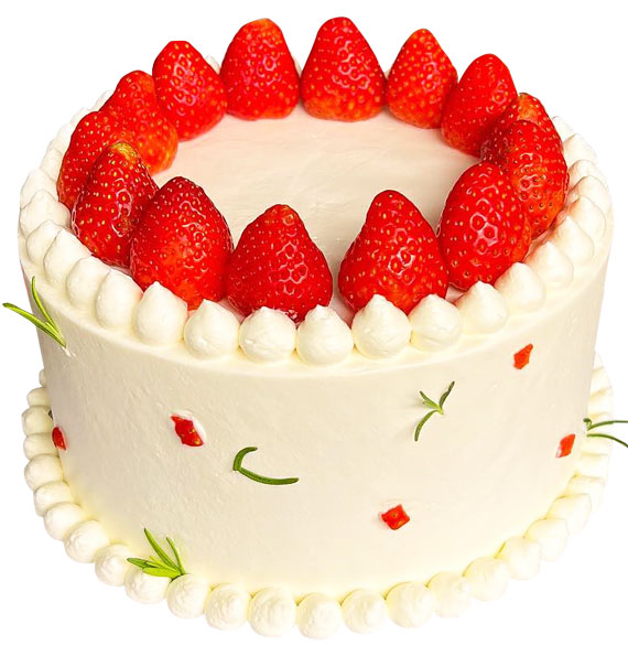fruit cake 36