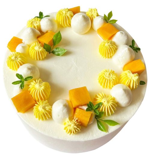 fruit cake 37