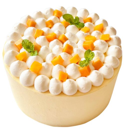 fruit cake 38