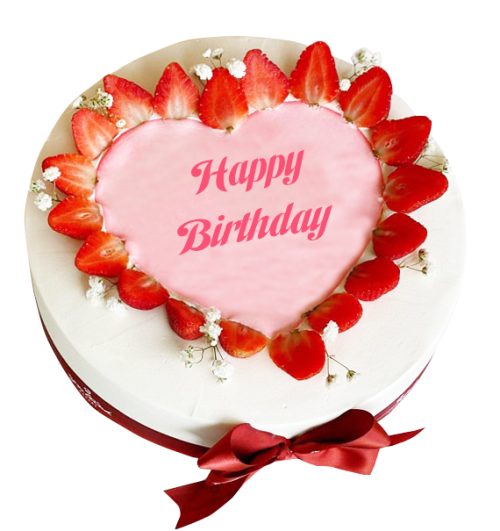 fruit cake 41