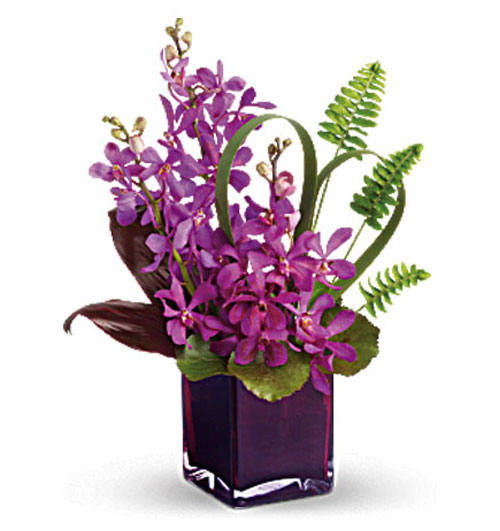 lavender orchids 500x531