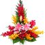 Mixed Orchids 02