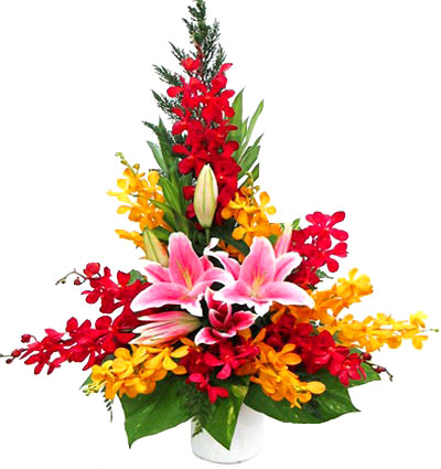 Mixed Orchids 02