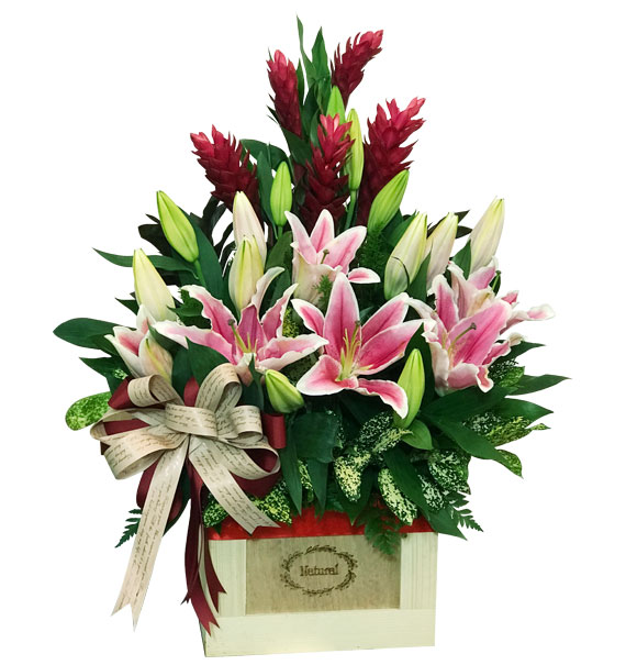 passions lilies 570x605