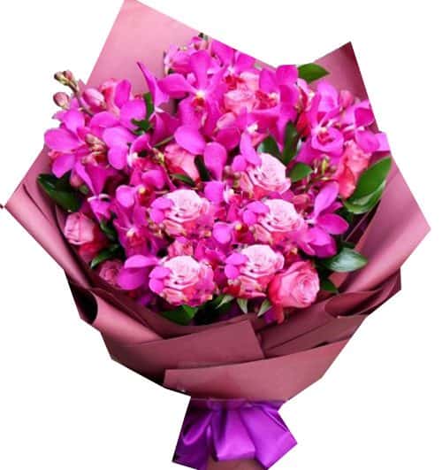 purple orchid 06 500x531