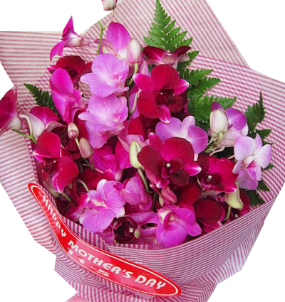 purple-orchid-10