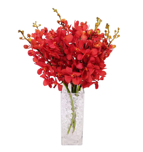 red orchid 01 570x605
